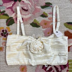 NWT Anthropologie Pleated Rosette Bustier